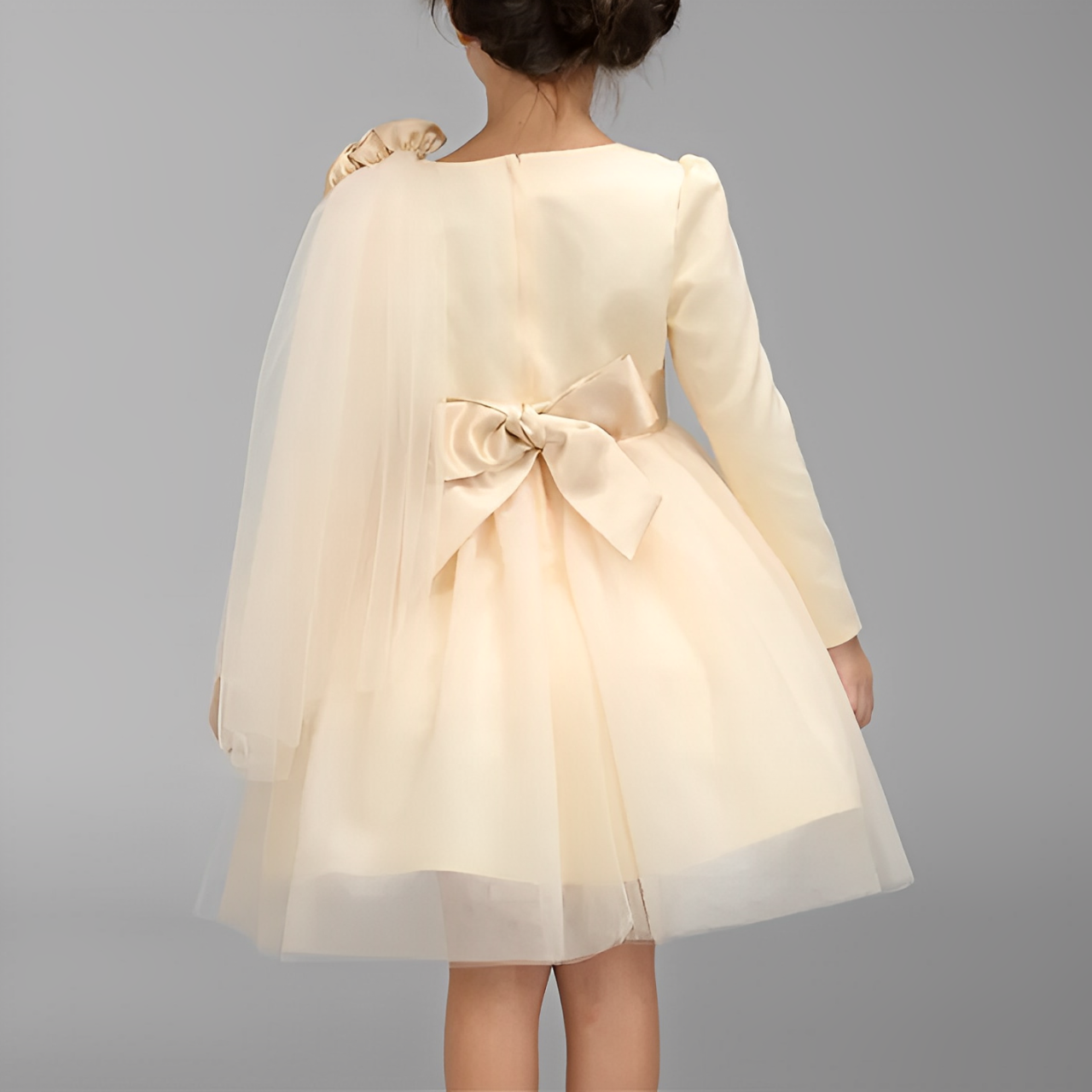 Baby Cream Net Shoulder Flowers Frock